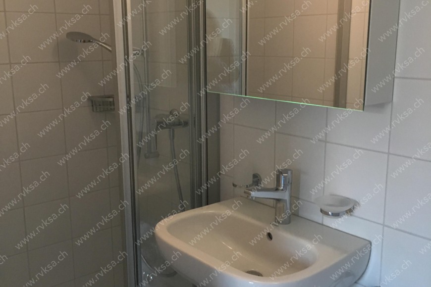 Appartement de 1 pièce, 12.9 m2, à Bôle Appartement de 1 pièce, 12.9 m2, à Bôle - Salle de bain