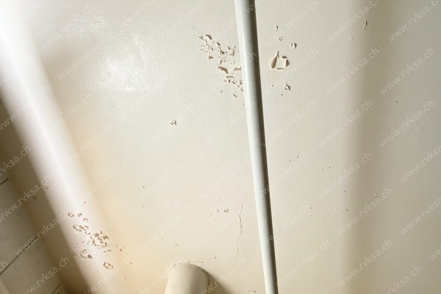 Appartement de 3 pièces, 75 m2, à Neuchâtel Appartement de 3 pièces, 75 m2, à Neuchâtel - Salle de bain