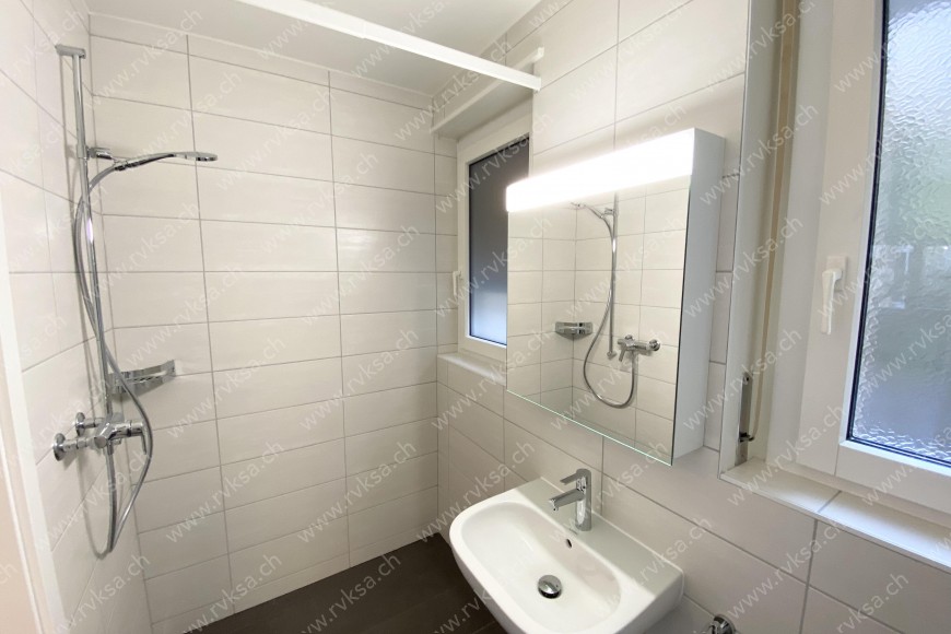 Local commercial de 1 pièce, 25 m2, à Neuchâtel Local commercial de 1 pièce, 25 m2, à Neuchâtel - Salle de bain