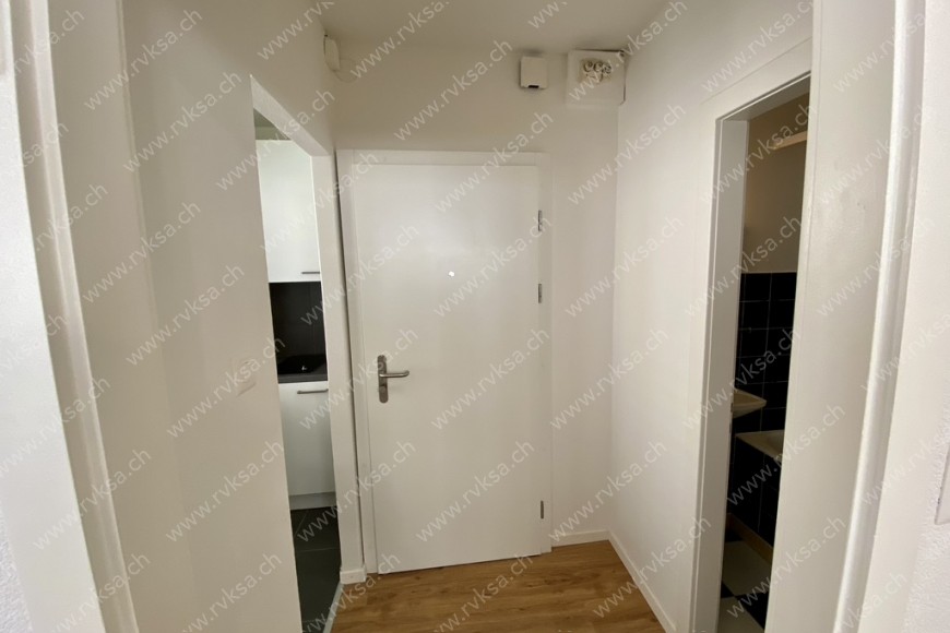 Appartement de 1 pièce, 19 m2, à Neuchâtel Appartement de 1 pièce, 19 m2, à Neuchâtel - Hall