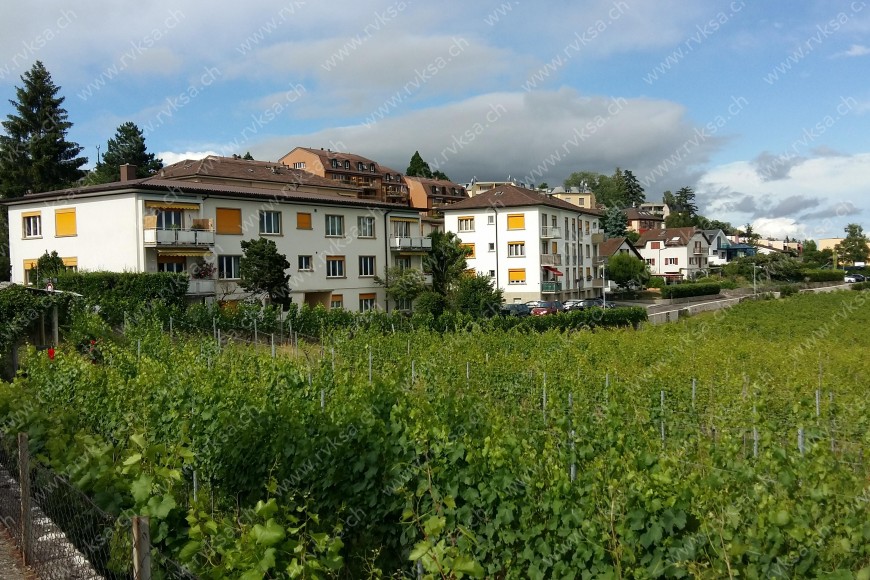 Appartement de 2 pièces, 41 m2, à Auvernier Bâtiment Appartement de 2 pièces, 41 m2, à Auvernier