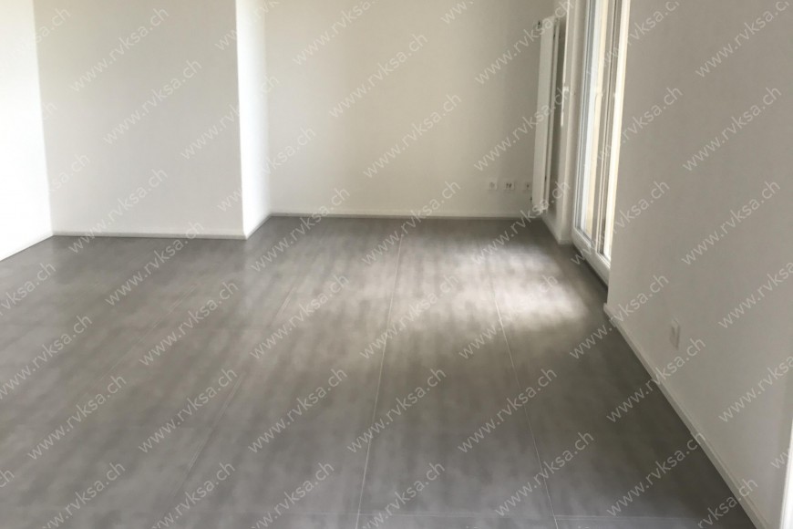 Appartement de 3 pièces, 55.41 m2, à Neuchâtel Appartement de 3 pièces, 55.41 m2, à Neuchâtel - Séjour
