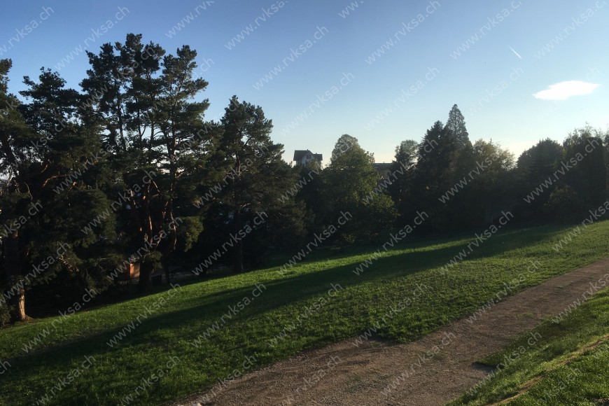 Appartement de 4 pièces, 92.9 m2, à Bôle - Vue 