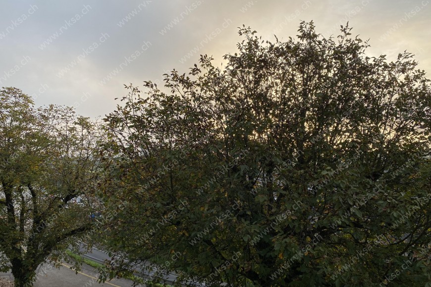 Appartement de 3 pièces, 64 m2, à Cornaux - Vue 