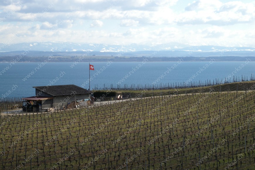 Bâtiment Appartement de 2 pièces, 41 m2, à Auvernier