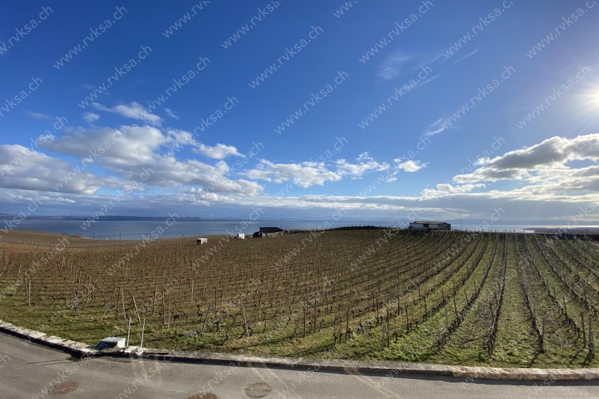 Appartement de 3 pièces, 63 m2, à Auvernier Appartement de 3 pièces, 63 m2, à Auvernier - Vue