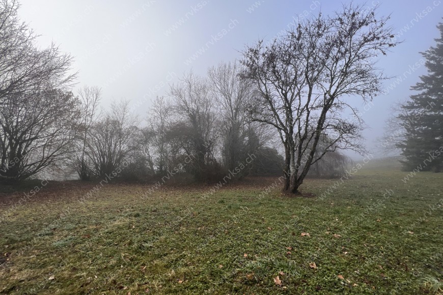 Bâtiment Appartement de 6 pièces, 200 m2, à Bôle