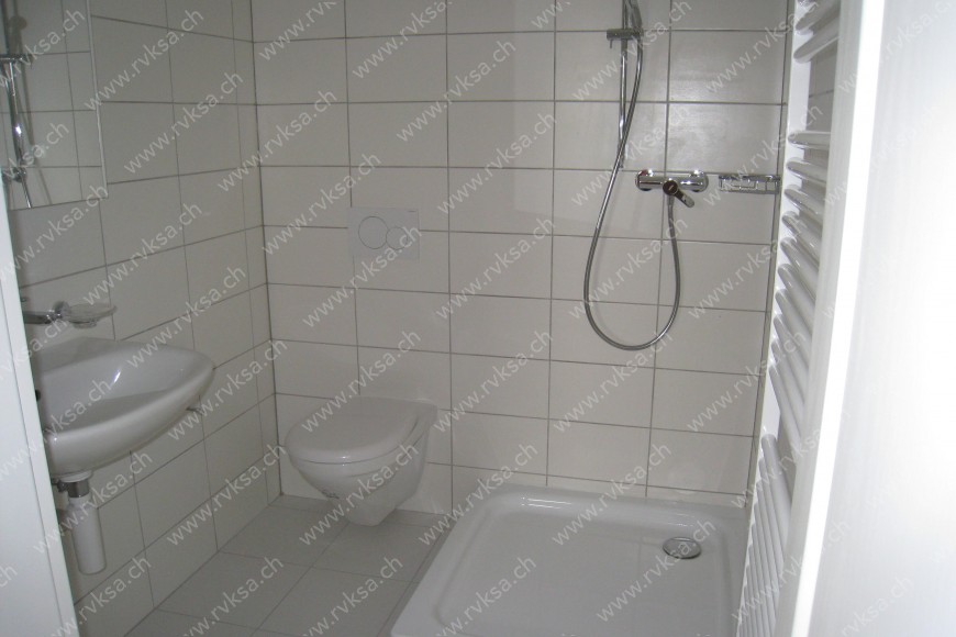 Appartement de 1 pièce, 20 m2, à Hauterive - Salle de bain 
