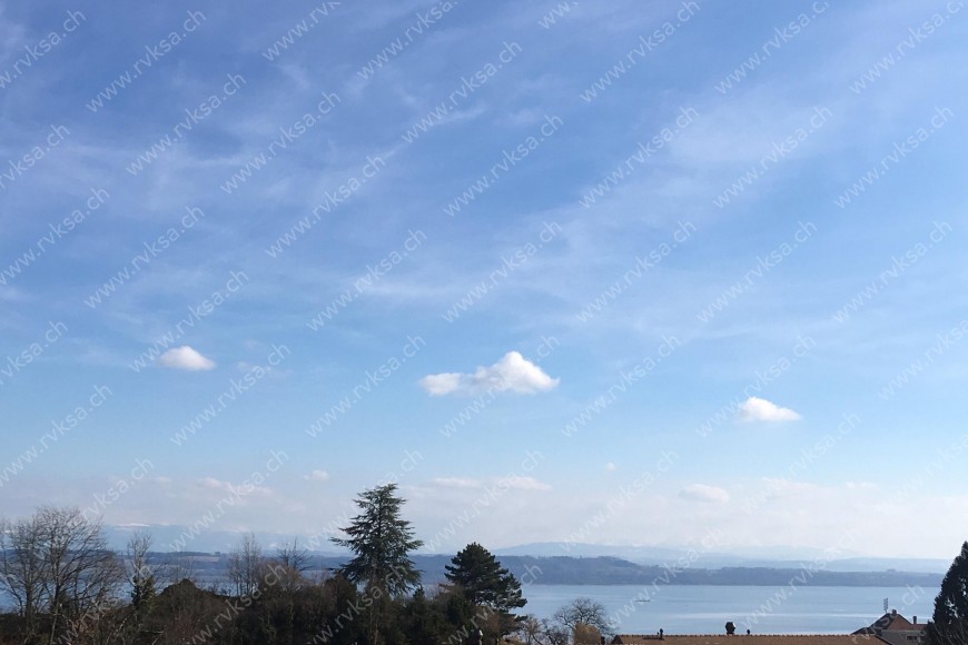 Appartement de 1.5 pièces, 37 m2, à Hauterive - Vue 