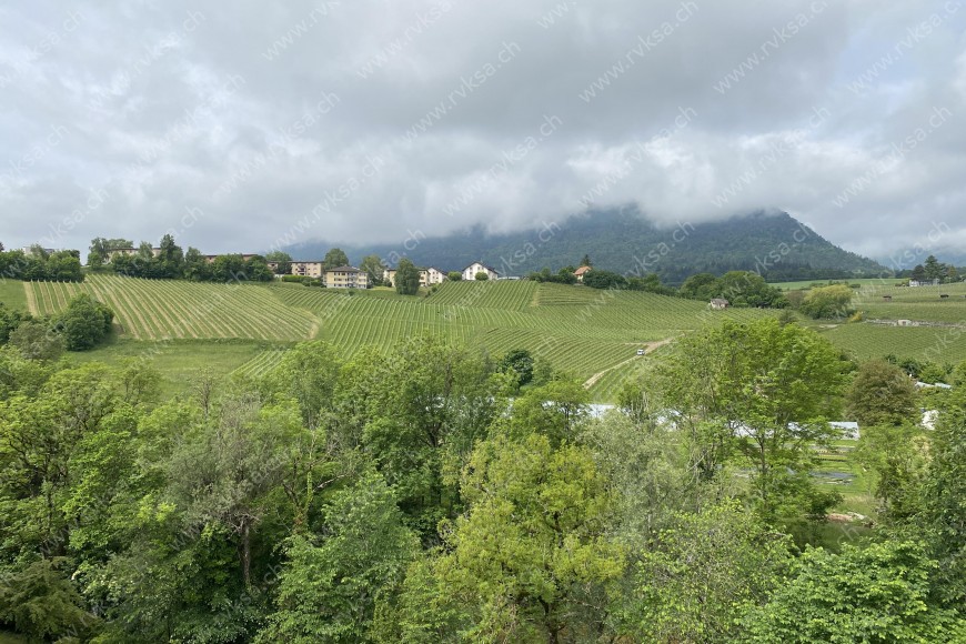 Appartement de 4 pièces, 85 m2, à Boudry - Vue 
