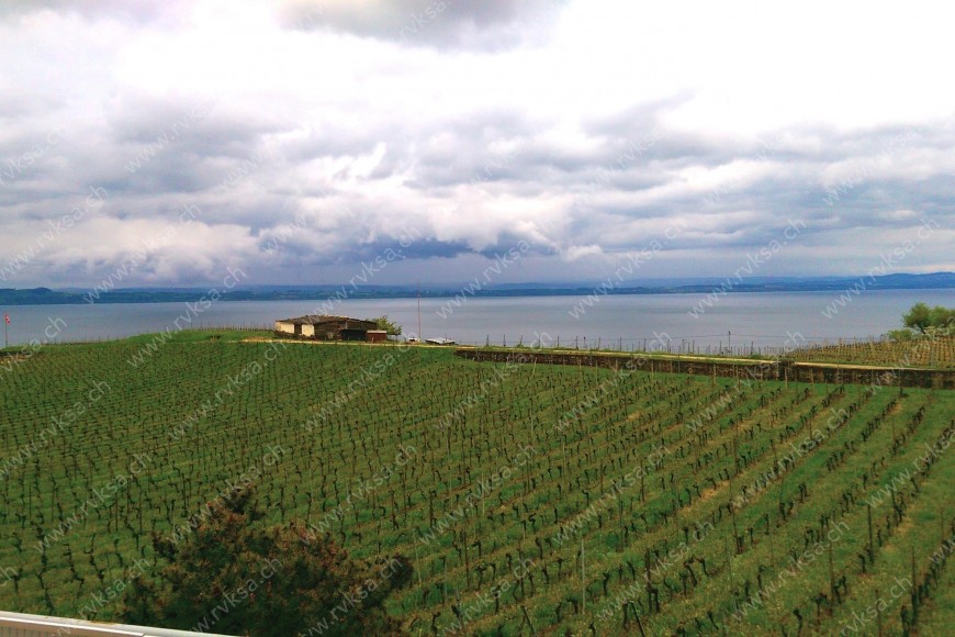 Bâtiment Appartement de 3.5 pièces, 76 m2, à Auvernier