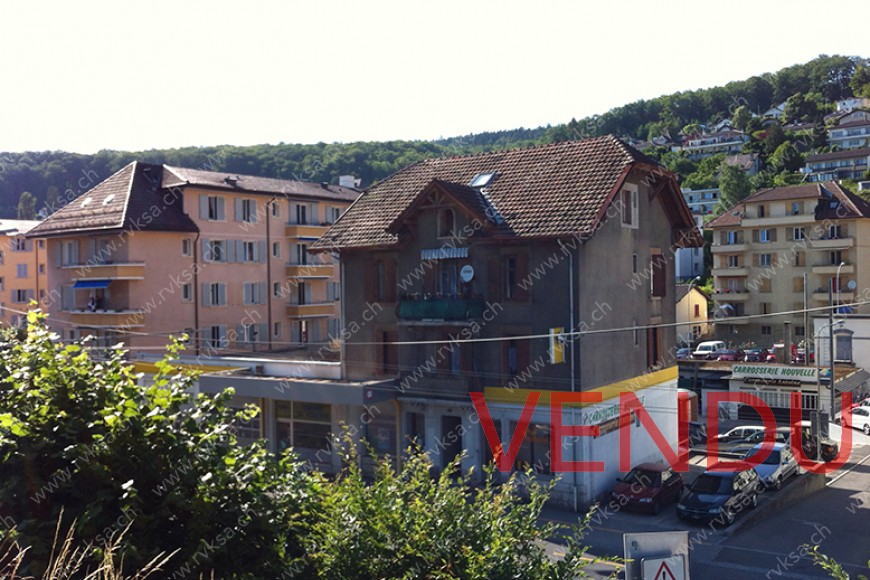 Facade Sud, depuis parc