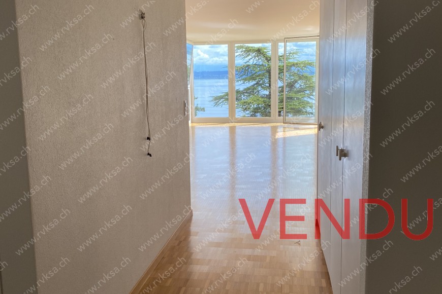 Appartement 4.5 pièces vue sud