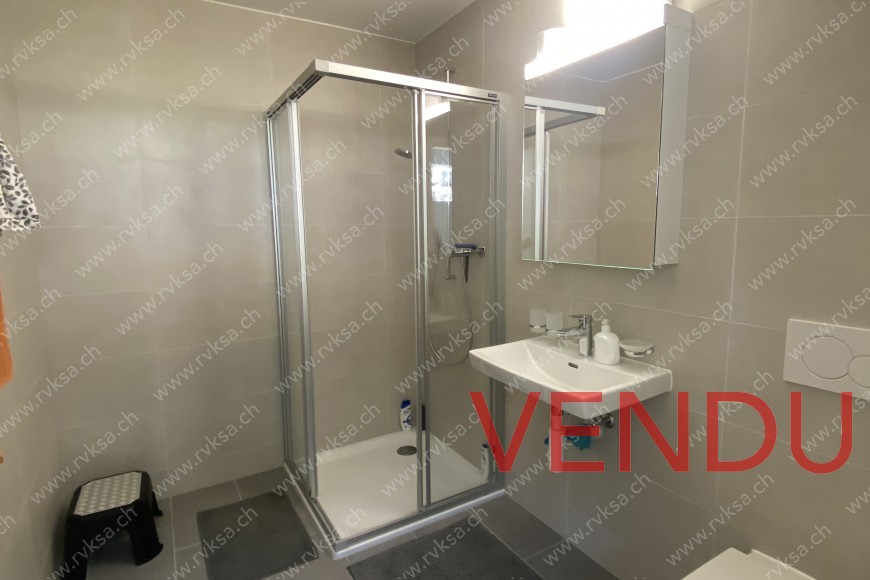 Rez-de-chaussée - Salle de bain - Douche - WC