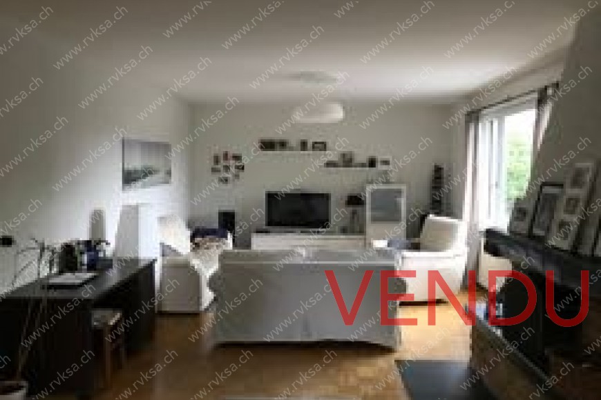 Appartement rez - salon ouvert avec cheminée