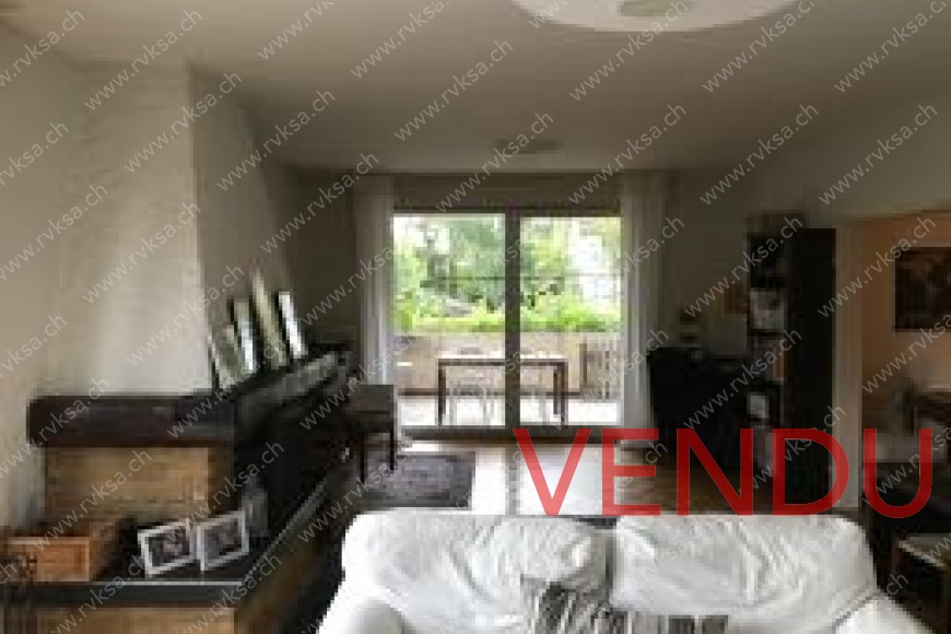 Appartement rez - salon ouvert avec cheminée