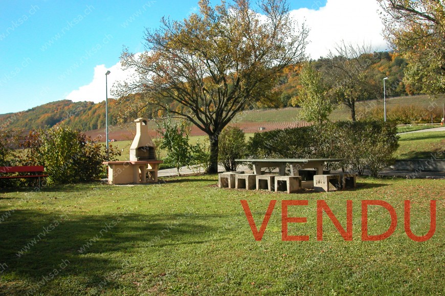 Jardin et aménagements extérieurs